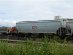 CN 114911 is new to RRPA!